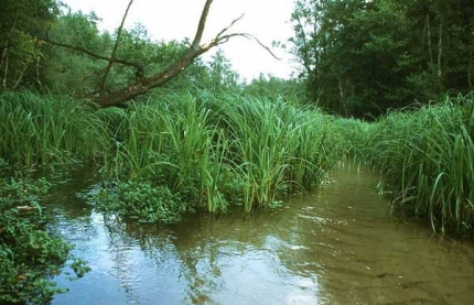 Bild 1 von Haustenbach